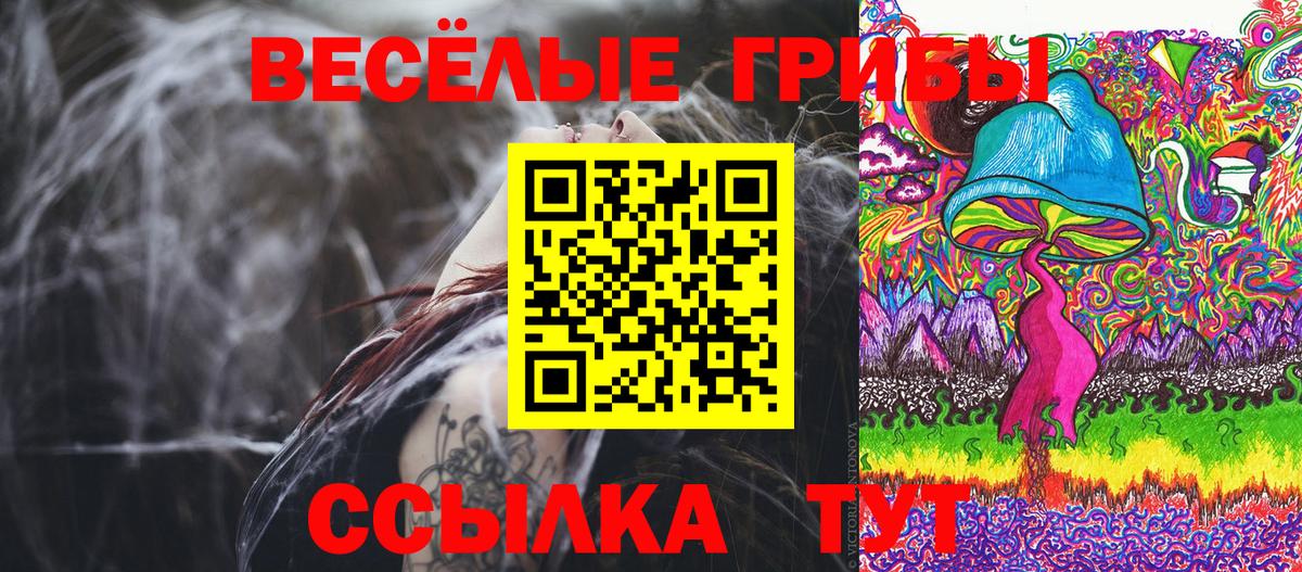 Псилоцибиновые грибы Cubensis  Вход с VPN  Лениногорск 